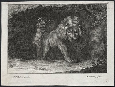 Vari leoni da Abraham Blooteling
