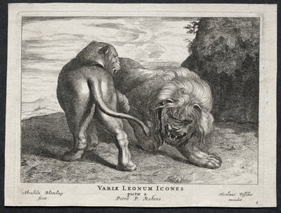 Vari leoni da Abraham Blooteling
