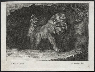 Vari leoni da Abraham Blooteling