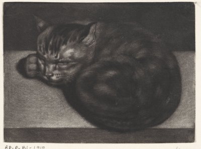 Gatto che dorme da Abraham Bloteling