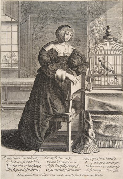 Il pappagallo, 1620-76 da Abraham Bosse