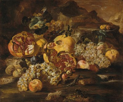 Melograni e altri frutti in un paesaggio da Abraham Brueghel