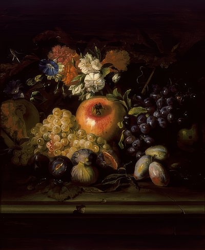 Natura morta con fiori e frutta da Abraham Brueghel