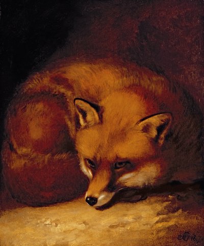 Una volpe da Abraham Cooper