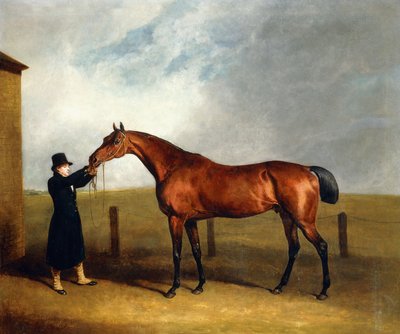 Il baio Truffle del colonnello Udny tenuto da un groom da Abraham Cooper