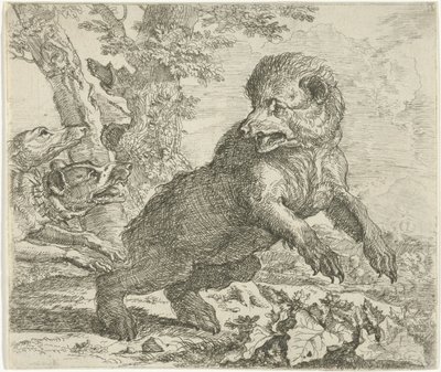 Orso attaccato da cani da Abraham Danielsz. Hondius