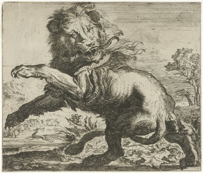 Leone e serpente in combattimento da Abraham Danielsz. Hondius