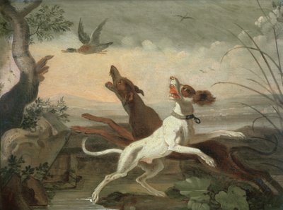 Immagine Sconosciuta da Abraham Danielsz. Hondius