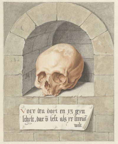 Teschio in una nicchia da Abraham Delfos