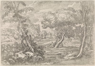 Paesaggio boscoso da Abraham Genoels