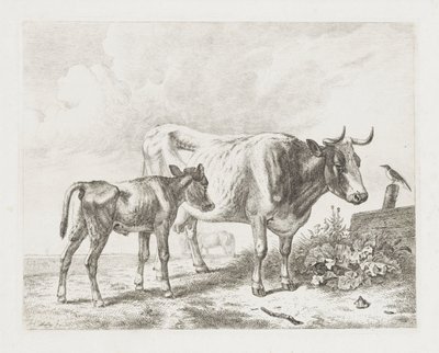 Mucca e vitello in un prato da Abraham Hendrik Winter