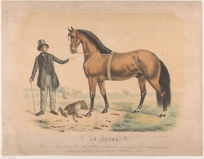Cavallo di W.L. de Jager di Wartena De Jonker da Abraham Hendrik Winter