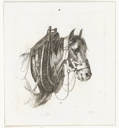 Testa di cavallo con briglie, collare e sella da Abraham Hendrik Winter