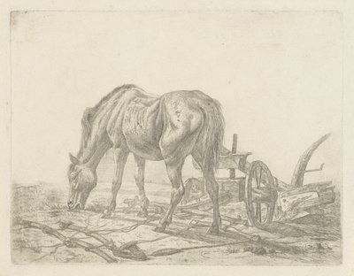 Cavallo slegato vicino a un aratro da Abraham Hendrik Winter