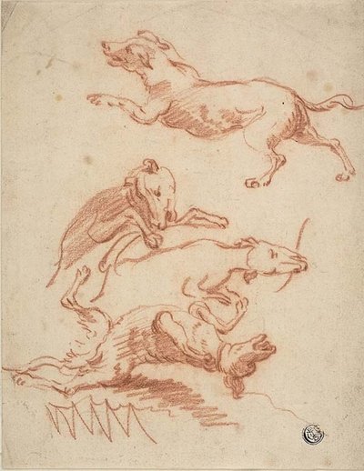 Schizzi di cani che giocano da Abraham Hondius
