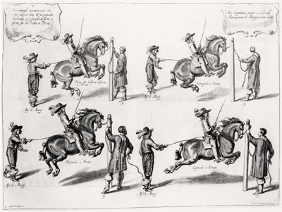 Illustrazione da un manuale di equitazione, inciso da Peeter Clouwet (1629-70), 1658 da Abraham Jansz. van after Diepenbeeck