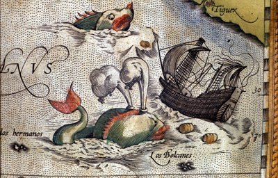 Una balena attacca una nave. Tavola da un