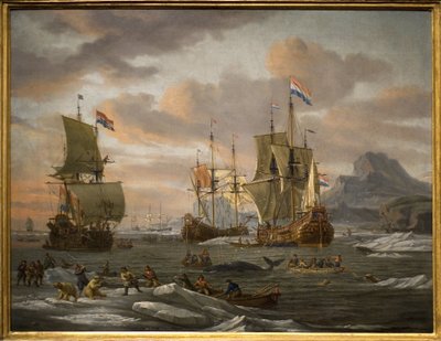 Pesca di balene e orsi polari sull