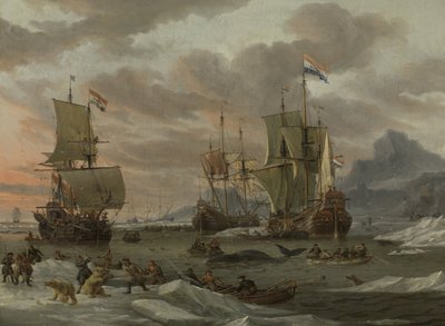 Terreni di caccia alle balene nell