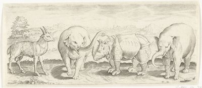 Gazzella, elefante e rinoceronte da Abraham de Bruyn (possibly)