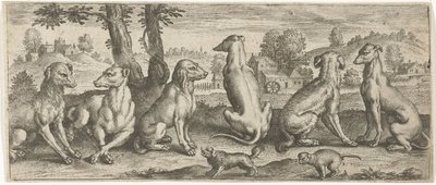 Cani da Abraham de Bruyn (possibly)