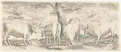 Mucche, un toro e un bue da Abraham de Bruyn (possibly)
