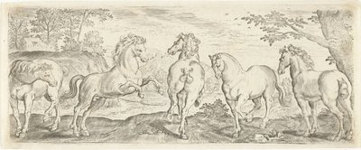 Cavalli Animali (serie) da Abraham de Bruyn (possibly)