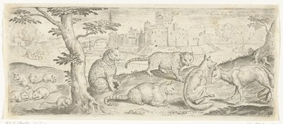 Ratti, gatti e volpi, Animali (titolo della serie) da Abraham de Bruyn (possibly)