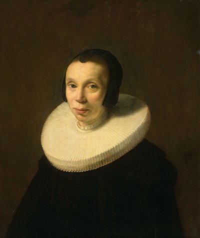 Ritratto di una donna da Abraham de Vries