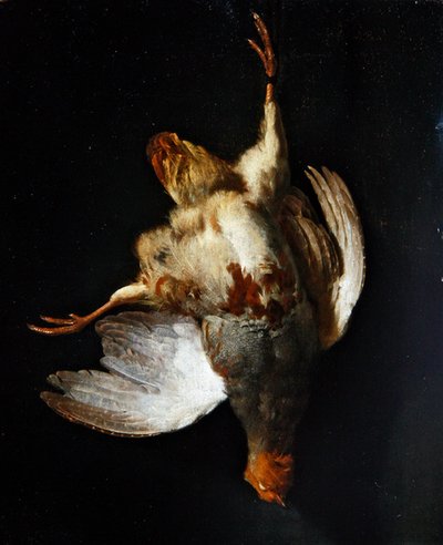 Natura morta con una pernice appesa a un chiodo da Abraham van Calraet