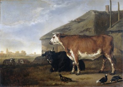 Bovini da Abraham van Calraet