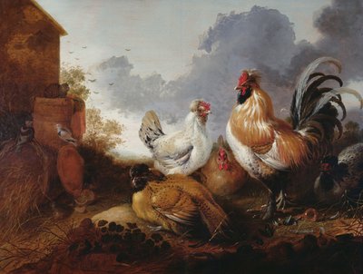 Pollame in un cortile da Abraham van Calraet