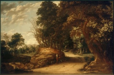 Paesaggio boscoso con viandanti in sosta da Abraham van den Rande