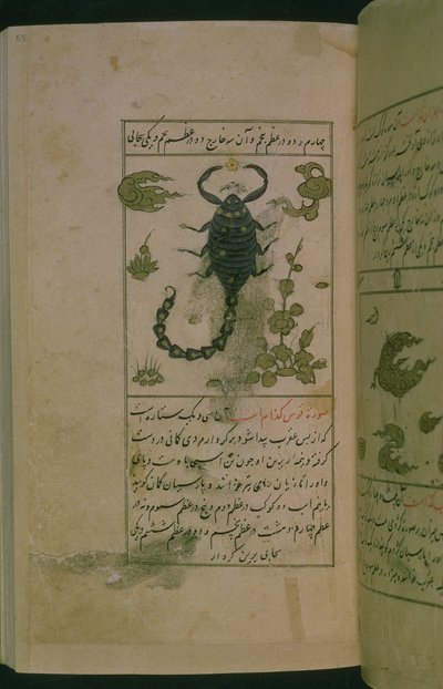 Costellazioni dello Zodiaco: Scorpione, lo Scorpione, da Talim dar marifat i taqvuim, 1498 (903 Hijra) da Abu Jafar al Tabari