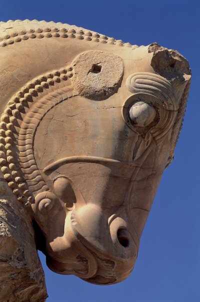 Testa di toro sul portico settentrionale della Sala del Trono di Serse da Achaemenid