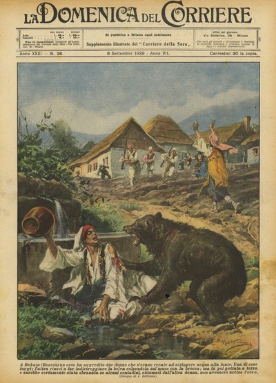 A Bokain (Bosnia) un orso ha aggredito due donne che si erano recate ad attingere acqua alla fonte da Achille Beltrame