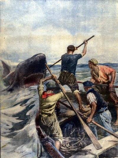 Uno scontro tra pescatori siciliani e un enorme squalo tigre si è concluso con la cattura del mostro marino che pesava 12 quintali. Ill. di A. Beltrame. La Domenica del Corriere. 1908 da Achille Beltrame