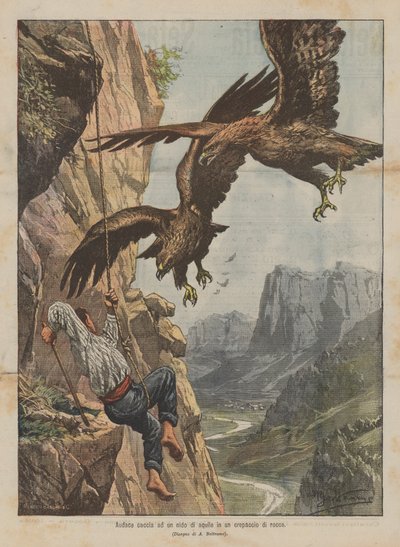 Audace caccia ad un nido di aquile in un crepaccio di rocce da Achille Beltrame