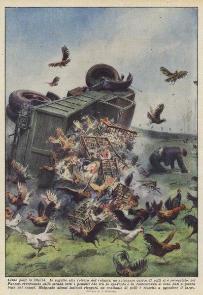 Cento polli in libertà da Achille Beltrame