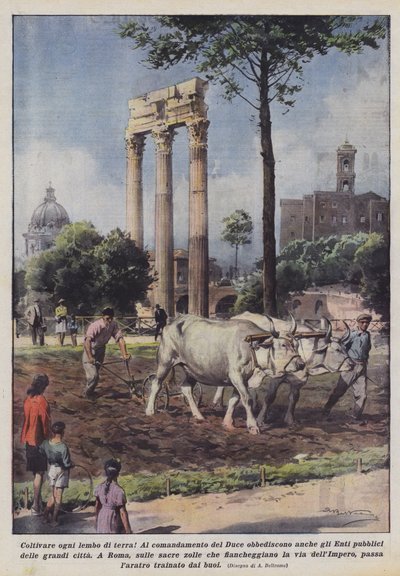 Coltivare ogni lembo di terra! da Achille Beltrame