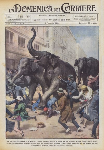 Dal circo alla strada da Achille Beltrame