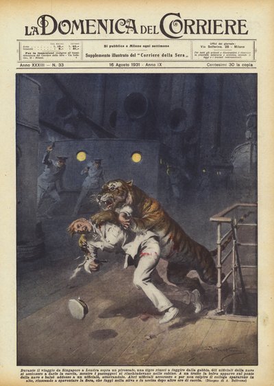 Durante il viaggio da Singapore a Londra sopra un piroscafo, una tigre riuscì a fuggire dalla gabbia da Achille Beltrame
