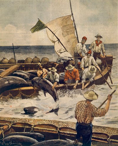 Pesca straordinaria di tonno rosso all