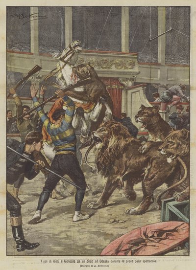 Fuga di leoni e leonesse da un circo ad Odessa da Achille Beltrame