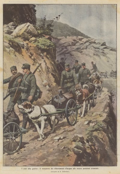 I cani alla guerra, il trasporto dei rifornimenti d