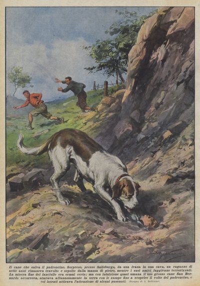 Il cane che salva il padroncino da Achille Beltrame