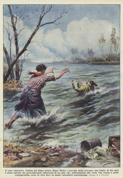 Il cane salvatore da Achille Beltrame