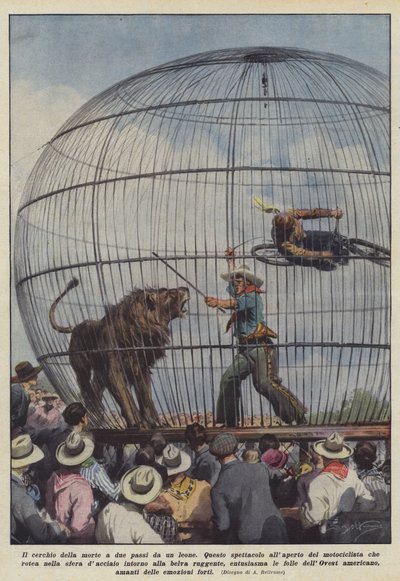 Il cerchio della morte a due passi da un leone da Achille Beltrame