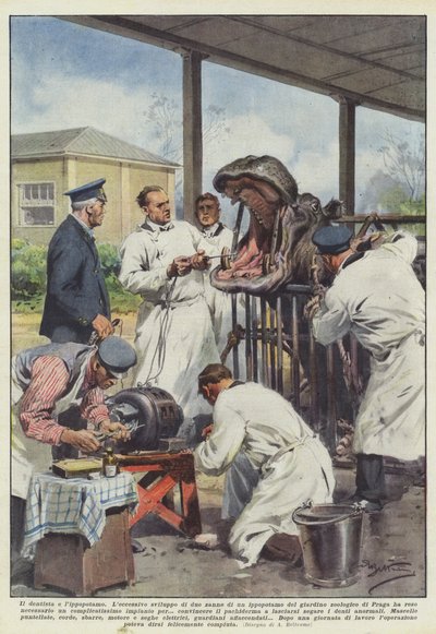 Il dentista e l