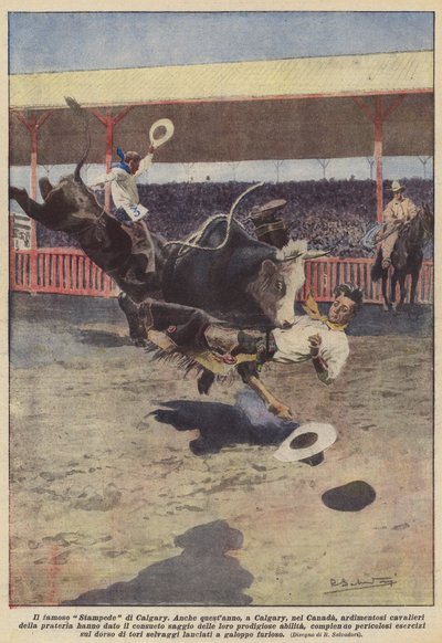 Il famoso Stampede di Calgary da Achille Beltrame